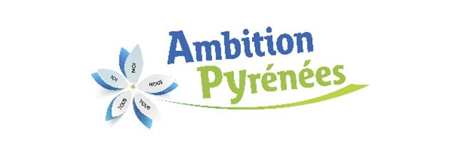 ambition 2